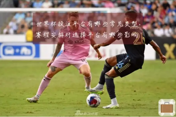 世界杯投注平台有哪些常见玩法与赔率类型？